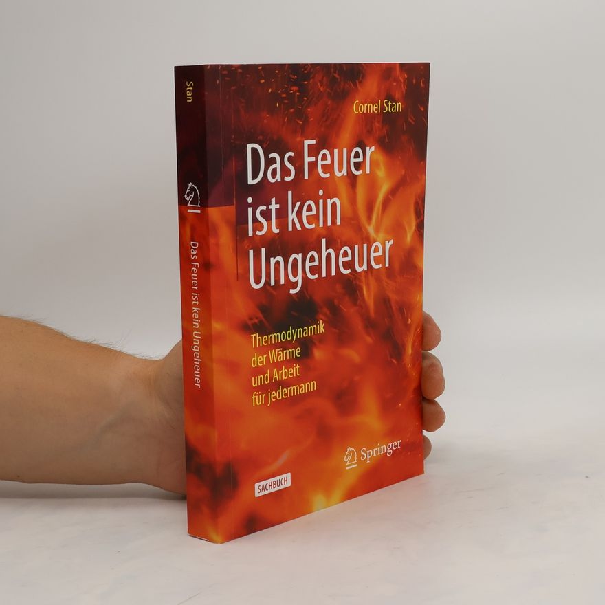 Cornel Stan Das Feuer ist kein Ungeheuer