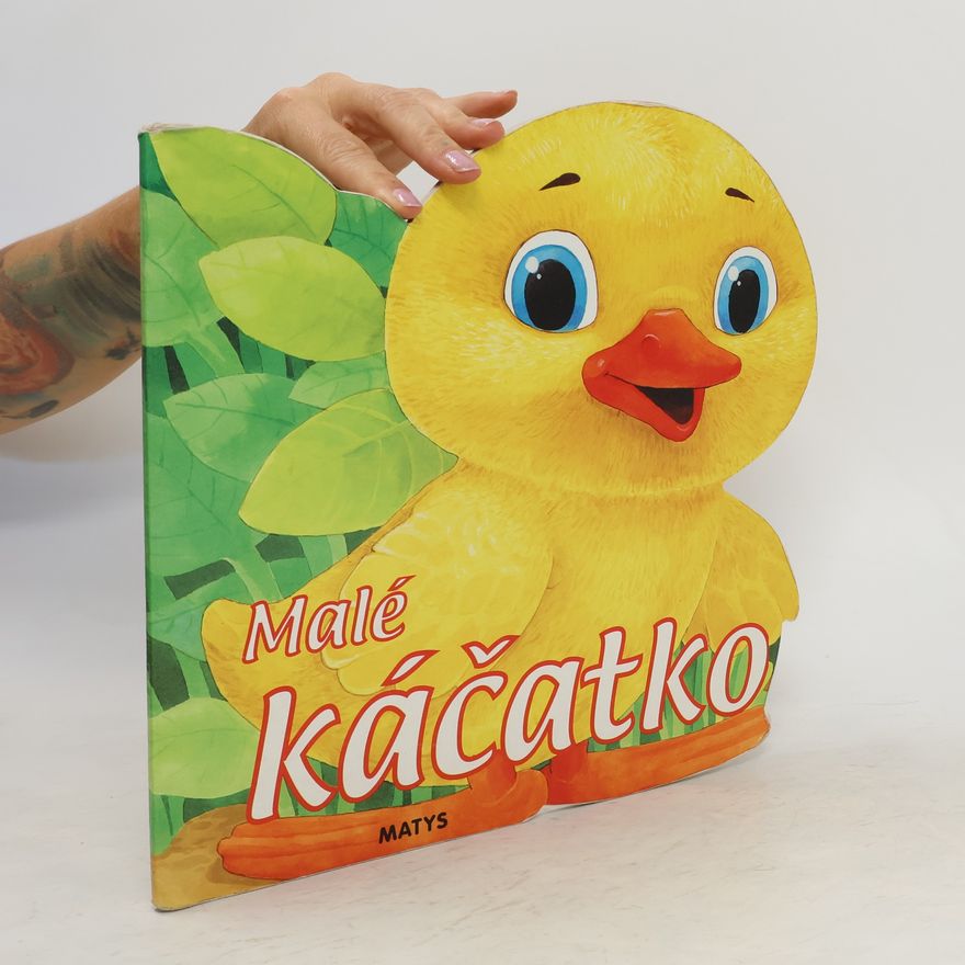 Sibyla Mislovičová Malé káčatko