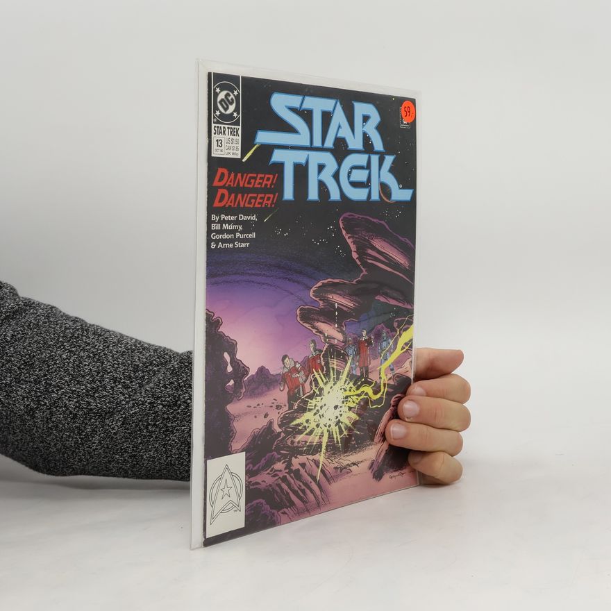 Autorenkollektiv Star Trek 13