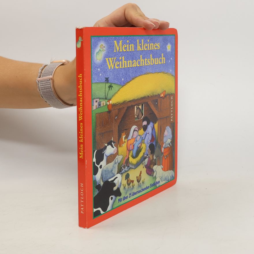 Tracey Moroney Mein kleines Weihnachtsbuch