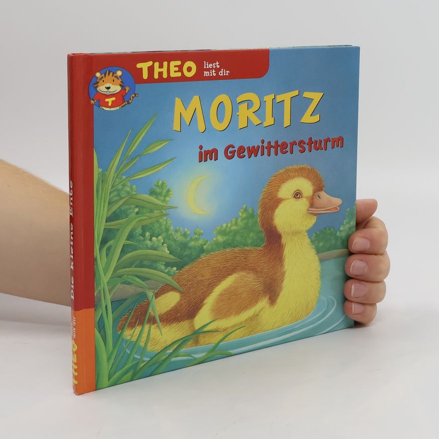 Frankie Merlier Moritz im Gewittersturm