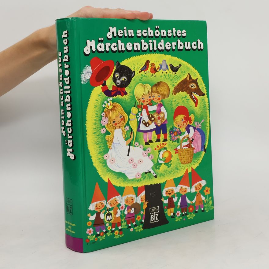 Auteurscollectief Mein schönstes Märchenbuch