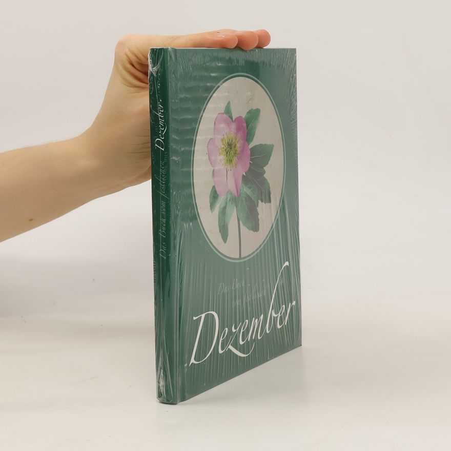 Malin Schwerdtfeger Das Buch vom festlichen Dezember
