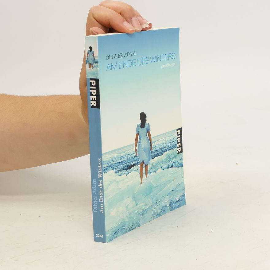 Olivier Adam Am Ende des Winters