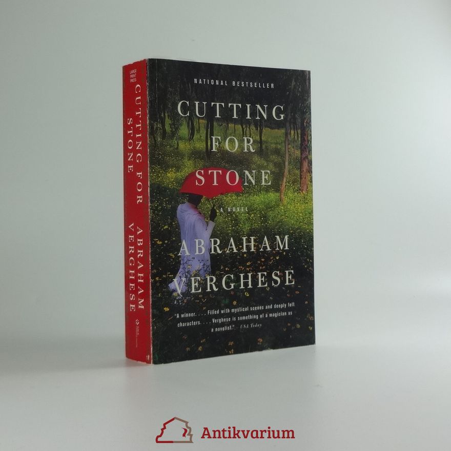 Abraham Verghese Cutting for Stone