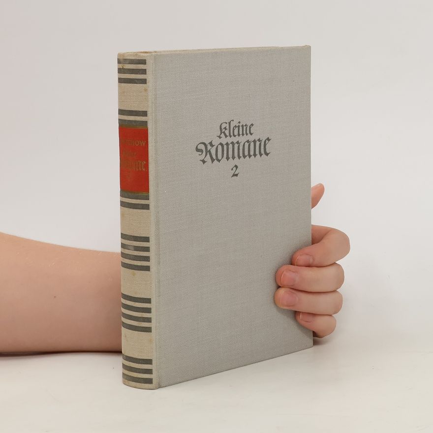 Anton Chekhov Kleine Romane 2
