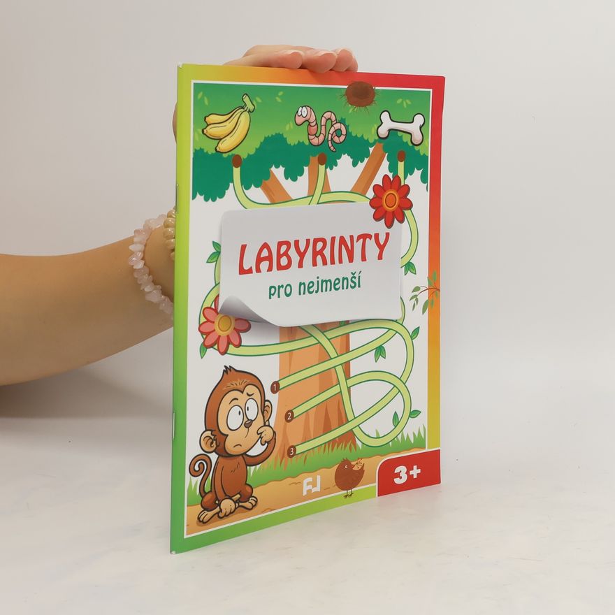 Autores varios Labyrinty pro nejmenší