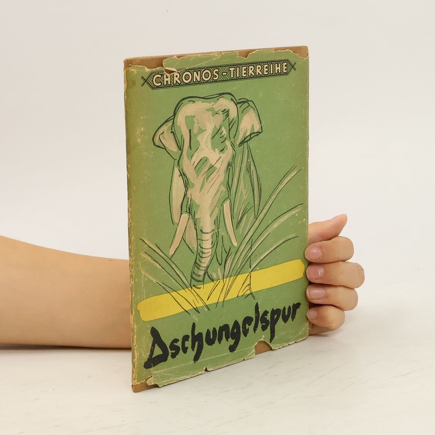 Autorenkollektiv Dschungelspur