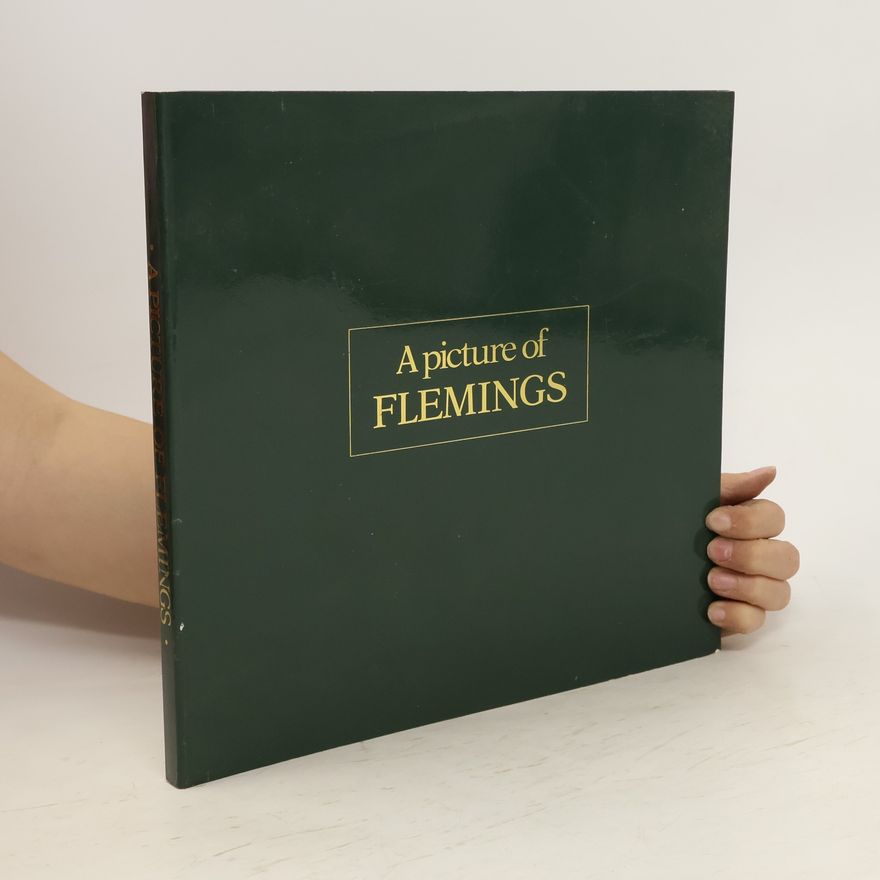 Kolektiv autorů A Picture of Flemings