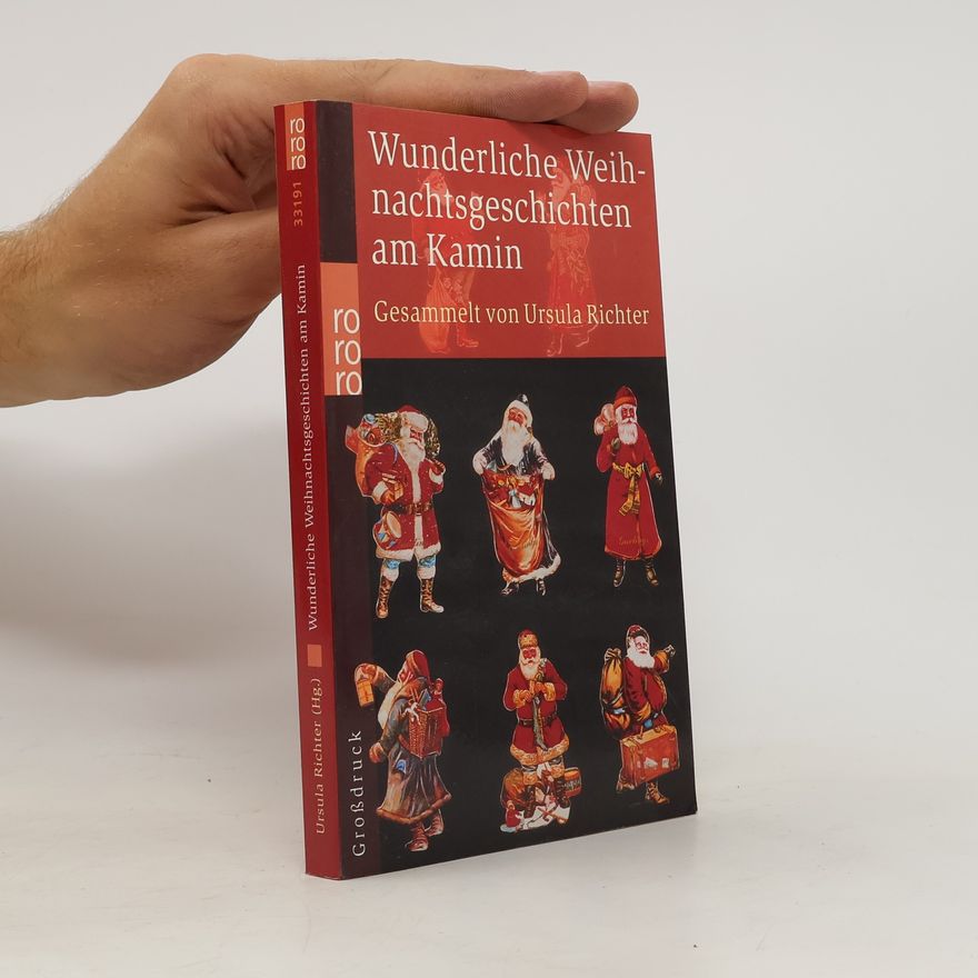 Ursula Richter Wunderliche Weihnachtsgeschichten am Kamin