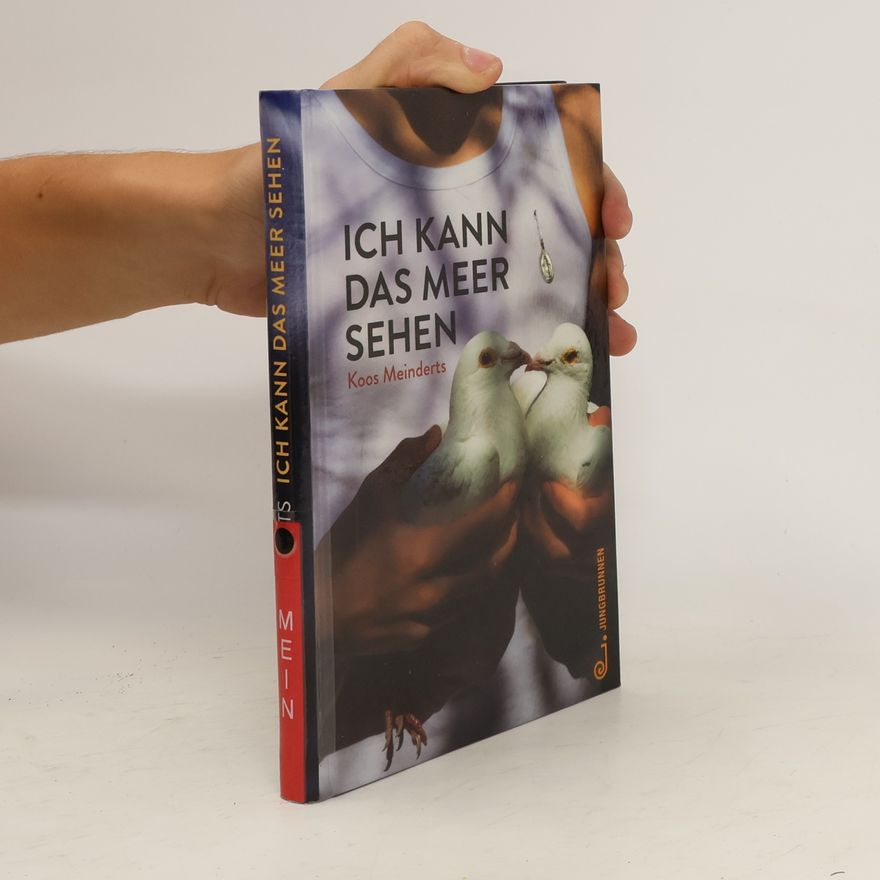 Koos Meinderts Ich kann das Meer sehen