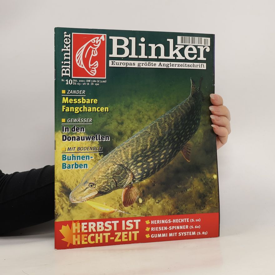 Kolektiv autorů Blinker 10/2001