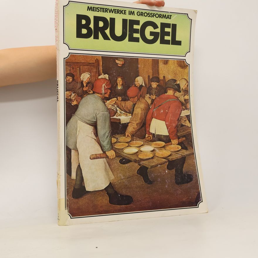 Auteurscollectief Meisterwerke im Grossformat. Bruegel