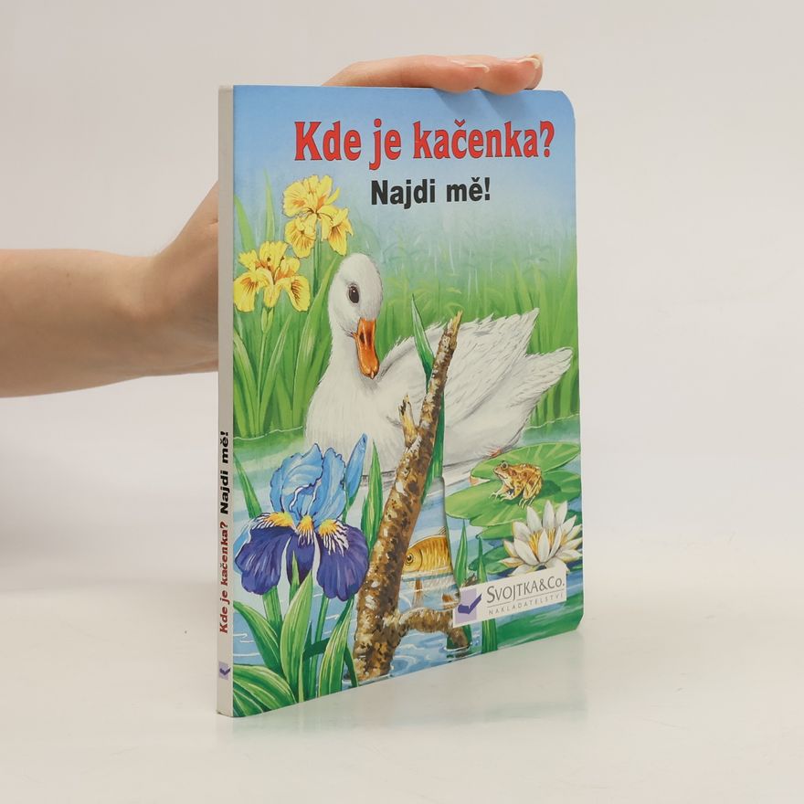 Autorenkollektiv Kde je kačenka?