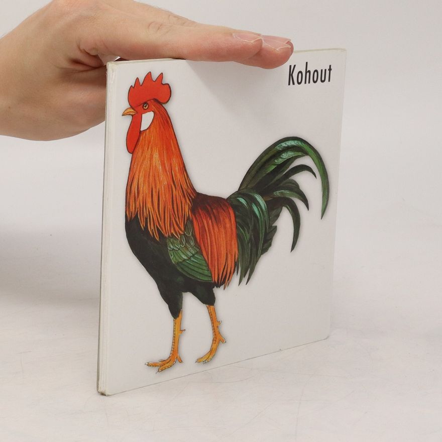 Autores varios Kohout