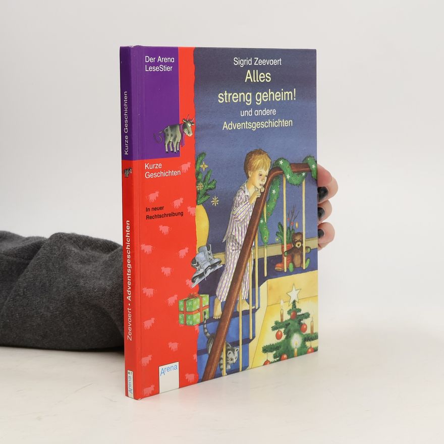 Autorenkollektiv Alles streng geheim! und andere Adventsgeschichten