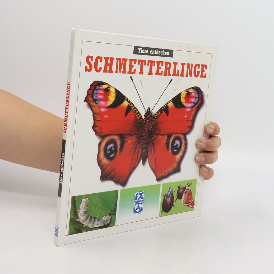 Maria A. ngels Julivert Schmetterlinge