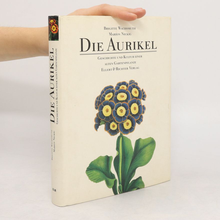 Brigitte Wachsmuth Die Aurikel