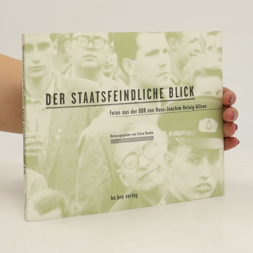 Hans-Joachim Helwig-Wilson Der staatsfeindliche Blick