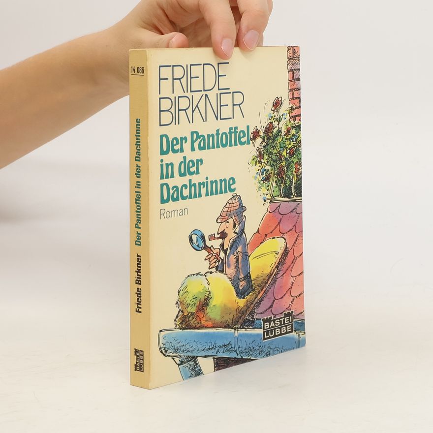 Friede Birkner Der Pantoffel in der Dachrinne