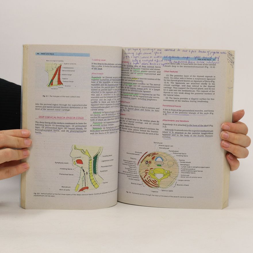 Collectif d'auteurs Human Anatomy 3. Head, Neck & Brain