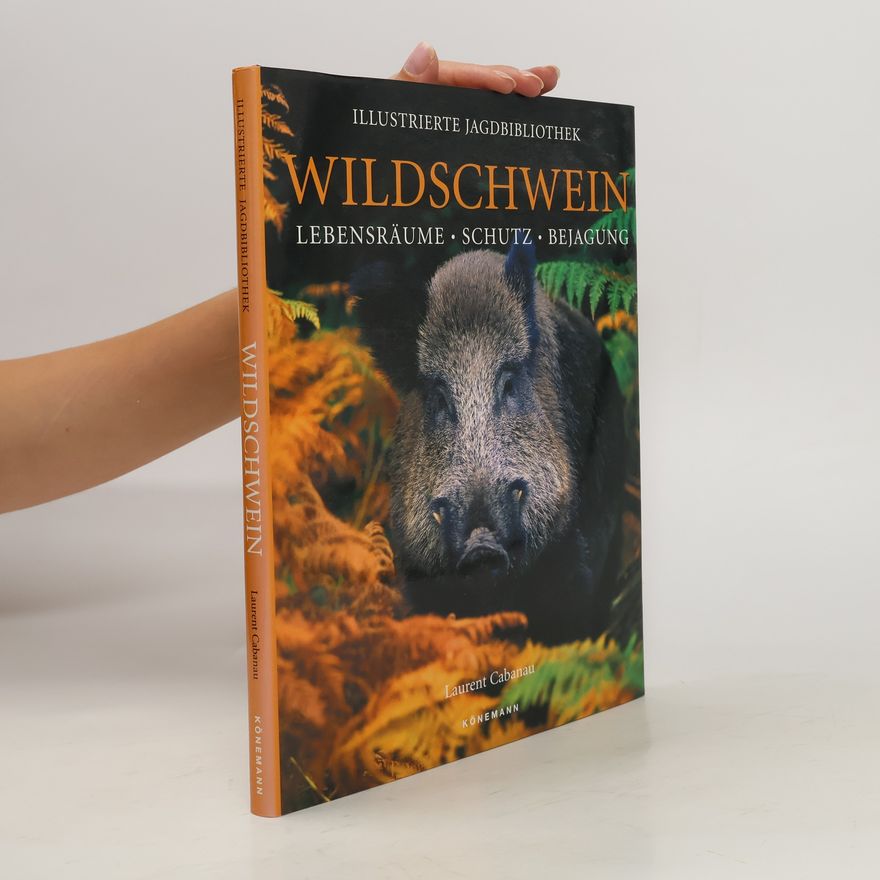 Laurent Cabanau Wildschwein