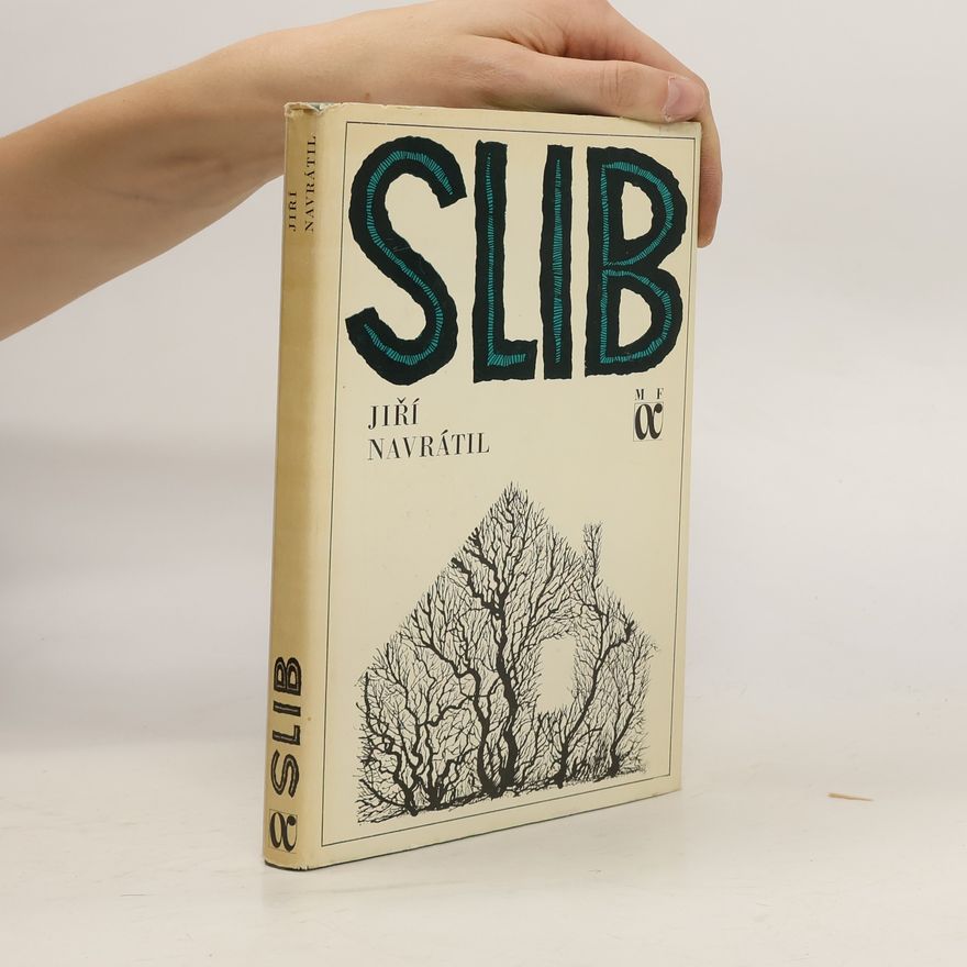 Jiří Navrátil Slib