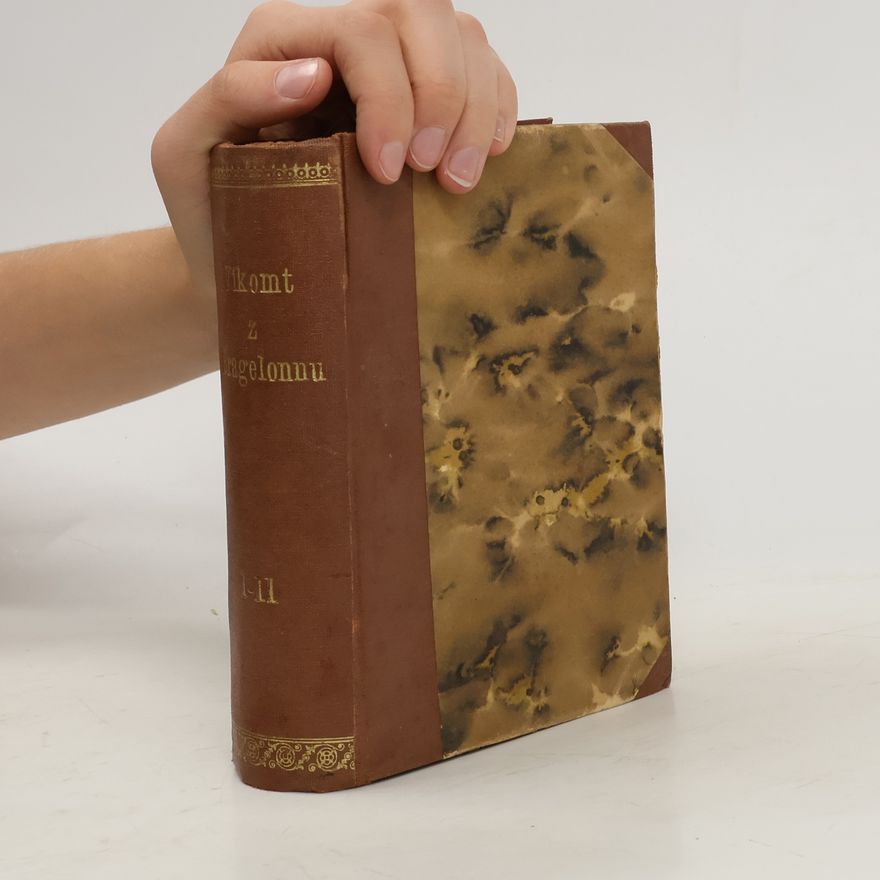 Alexandre Dumas starší Vikomt z Bragelonnu I.-II.