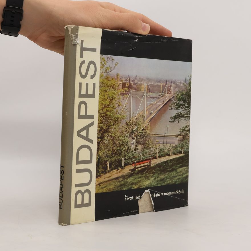 Kolektiv autorů Budapest