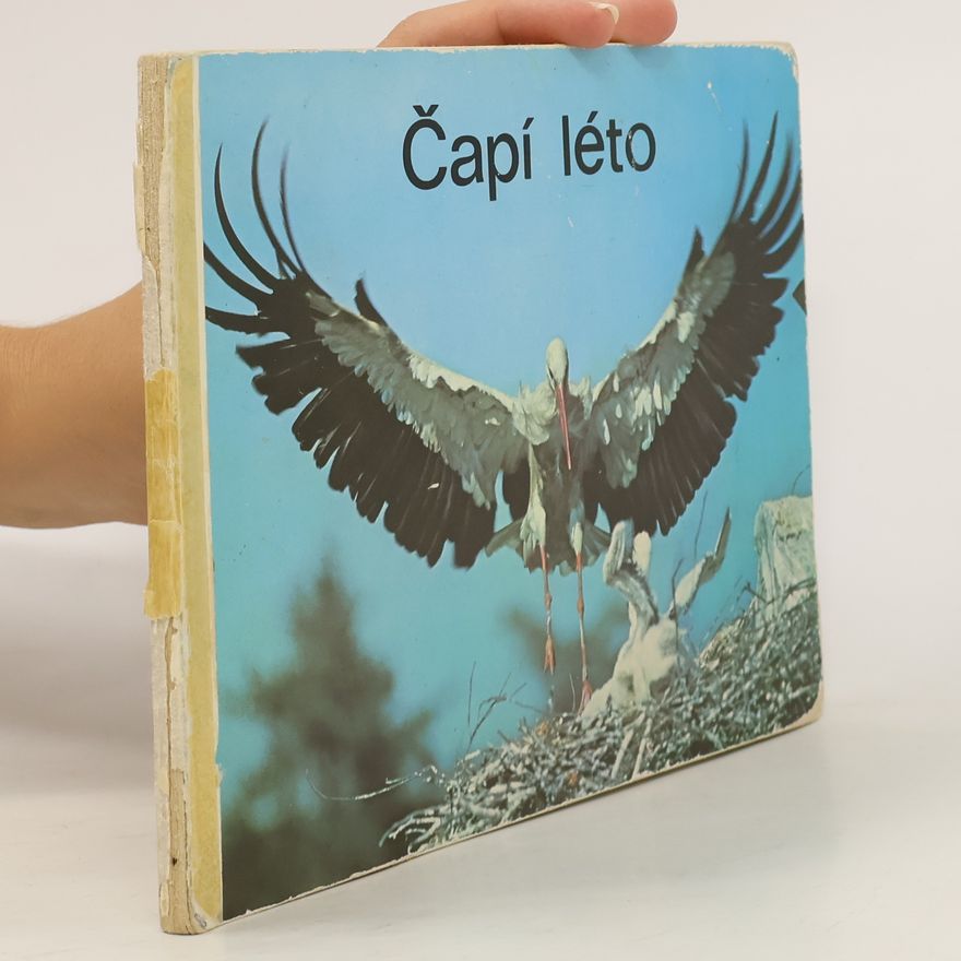 Kolektiv autorů Čapí léto