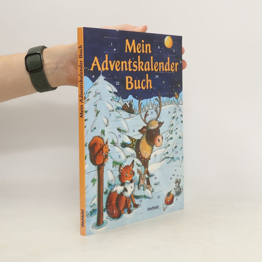 Karin Neukam Mein Adventskalender-Buch