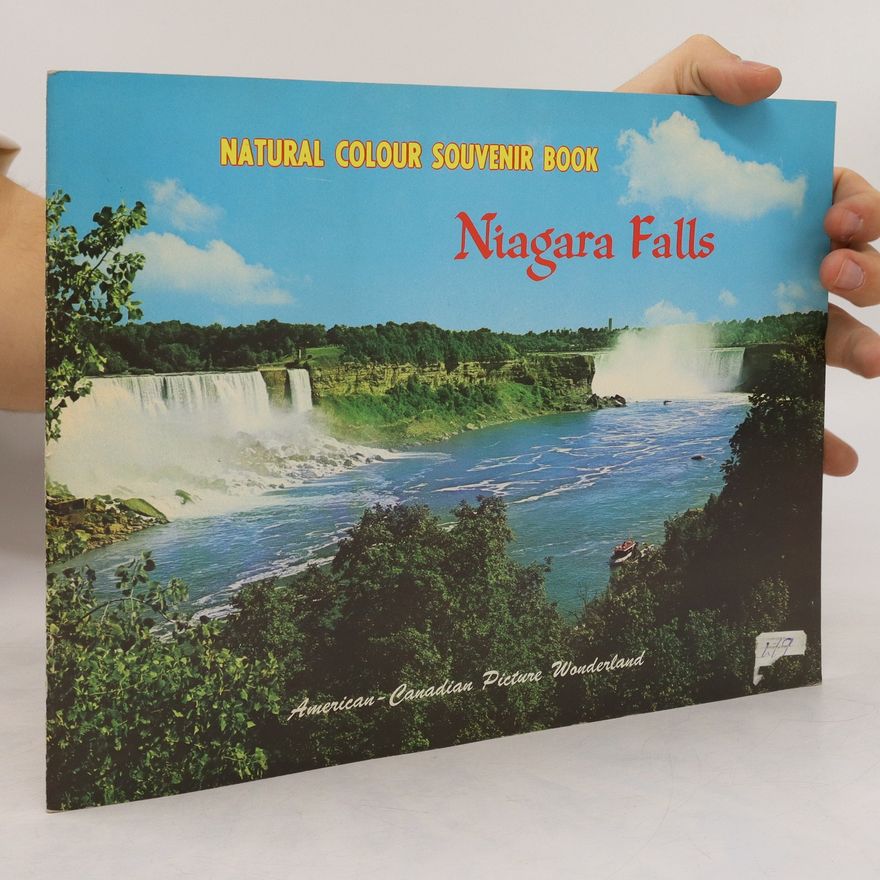 Kolektiv autorů Niagara Falls