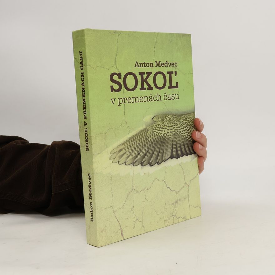 Anton Medvec Sokol' v premenách času