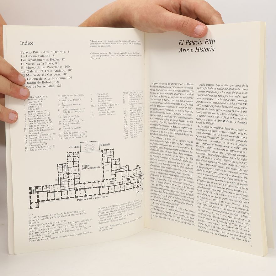Autorenkollektiv Palazzo Pitti