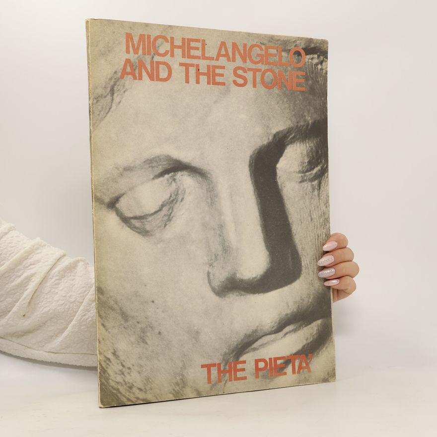 Kolektiv autorů Michelangelo and the Stone