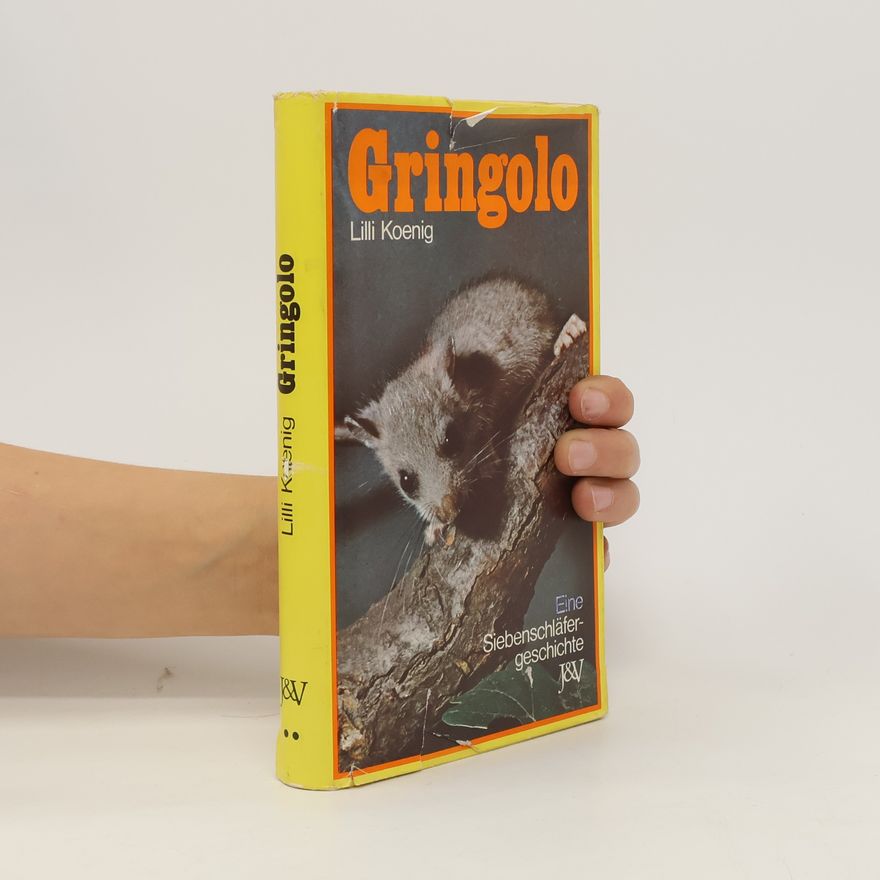 Lilli Koenig Gringolo