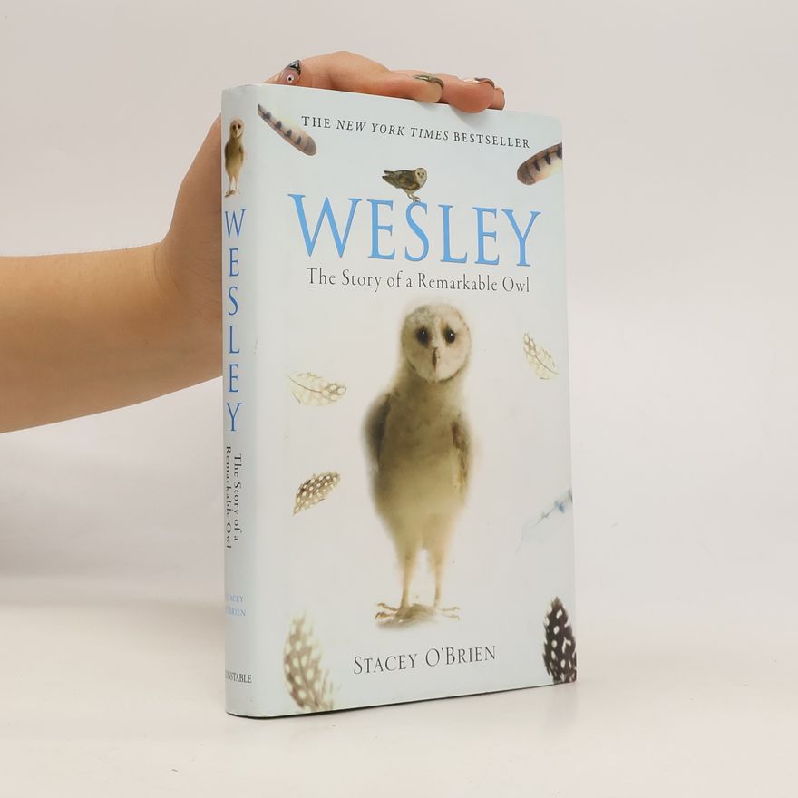 Stacey OBrien Wesley