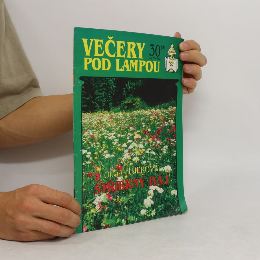 Autorenkollektiv Večery pod lampou 30/1995