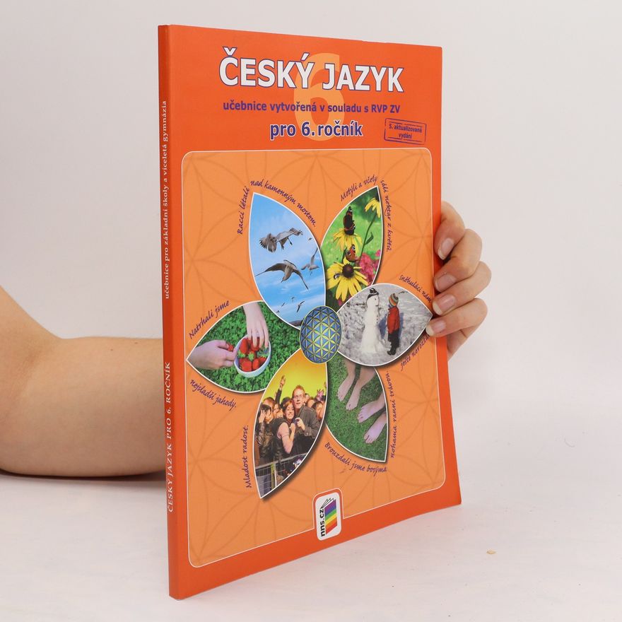 NNS Český jazyk 6