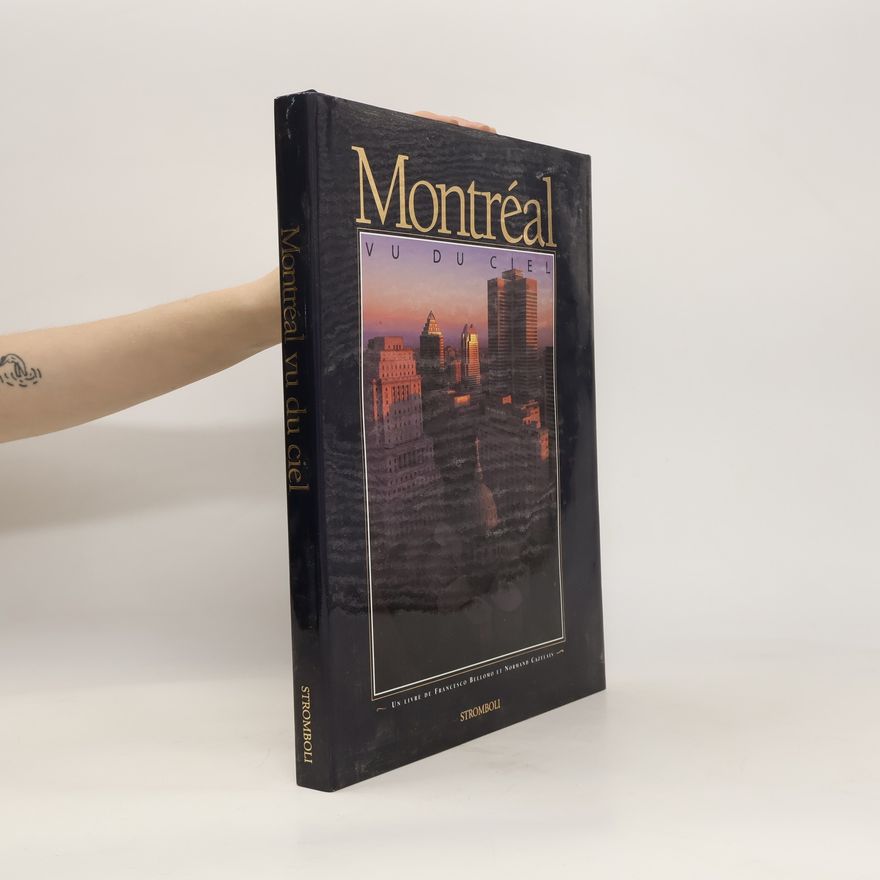 Francesco Bellomo Montréal vu du ciel
