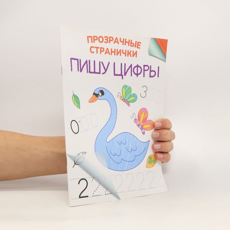 Collectif d'auteurs Пишу цифры (Pishu tsifry)