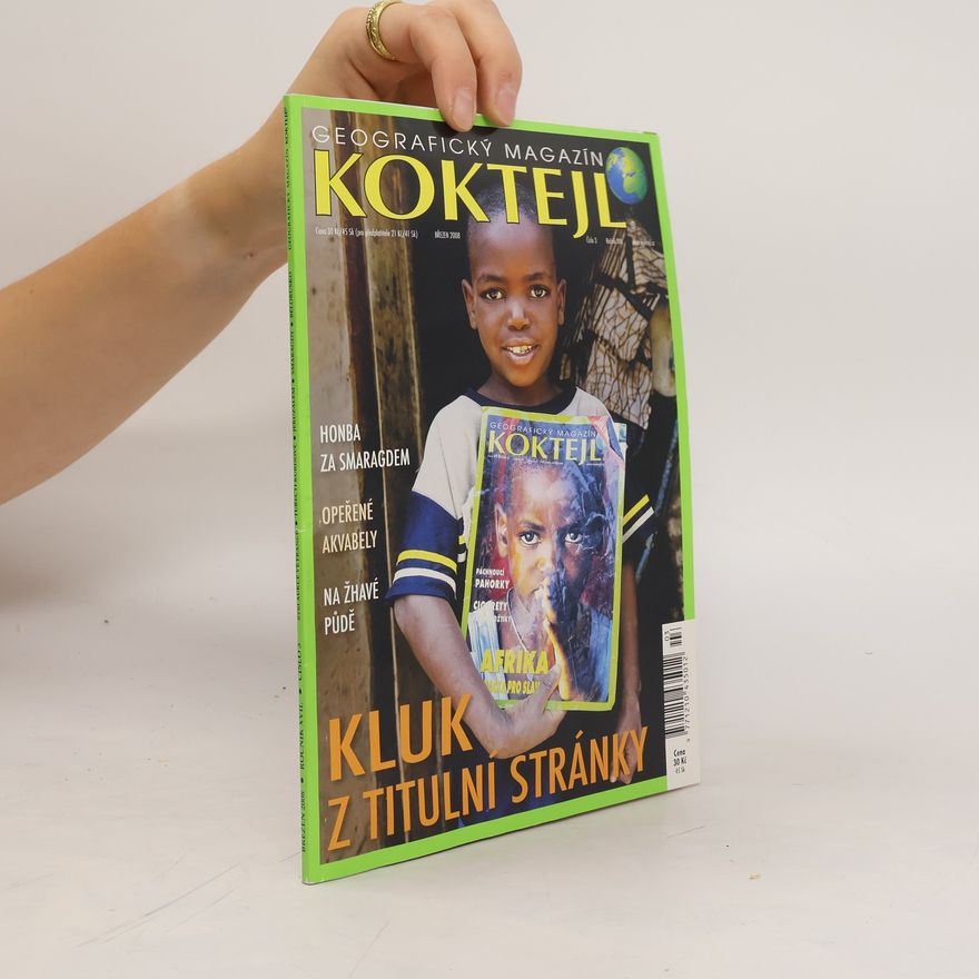 Kolektiv autorů Koktejl 3/2008