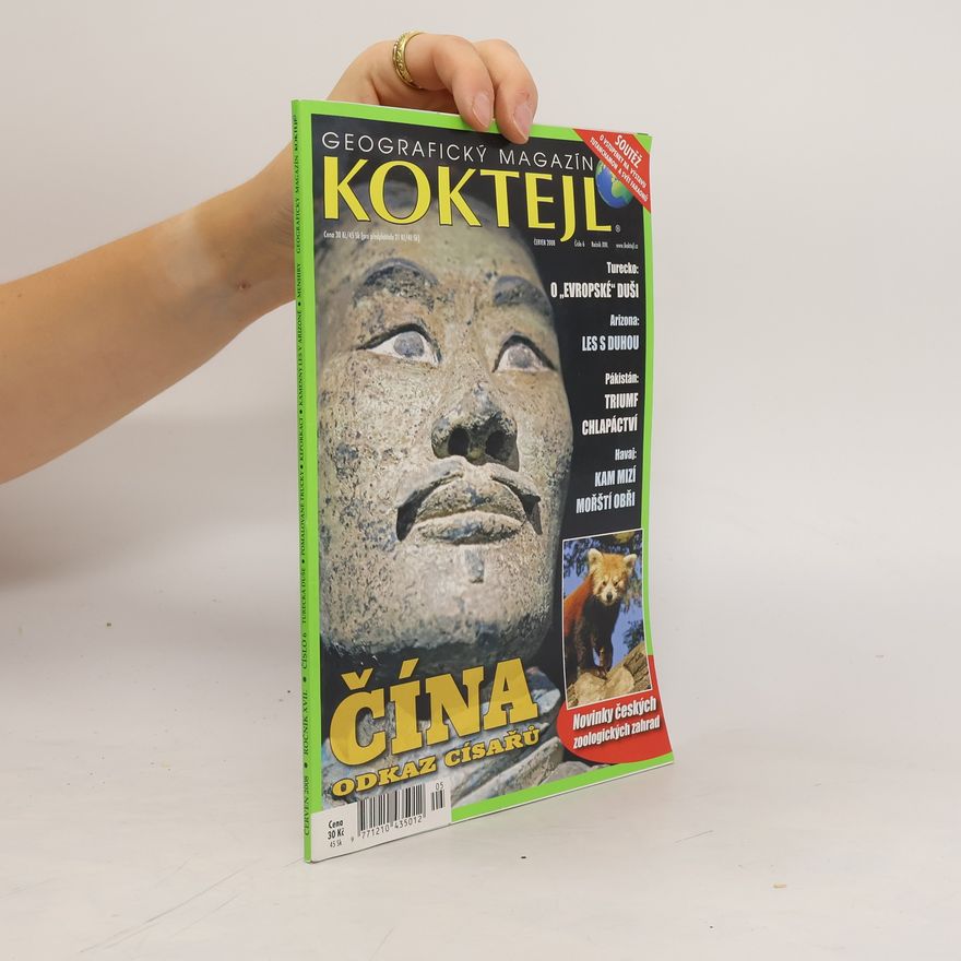 Kolektiv autorů Koktejl 6/2008