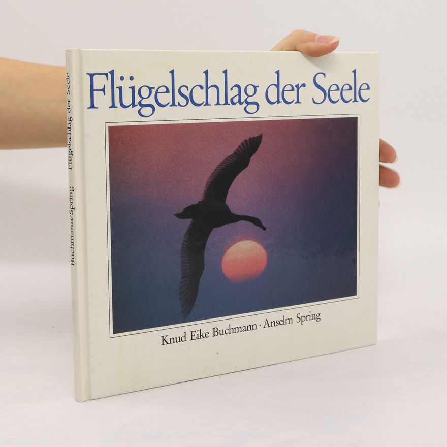 Anselm Spring Flügelschlag der Seele