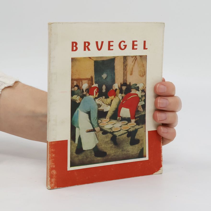 Auteurscollectief Bruegel