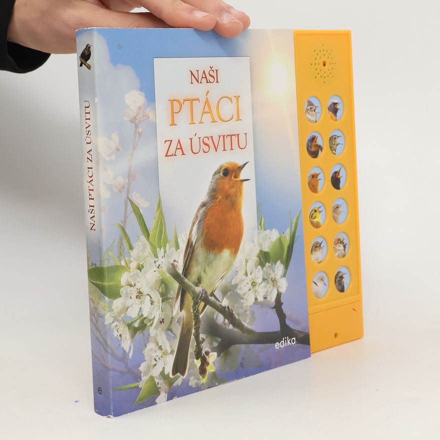 Kath Andrea a Naši ptáci za úsvitu