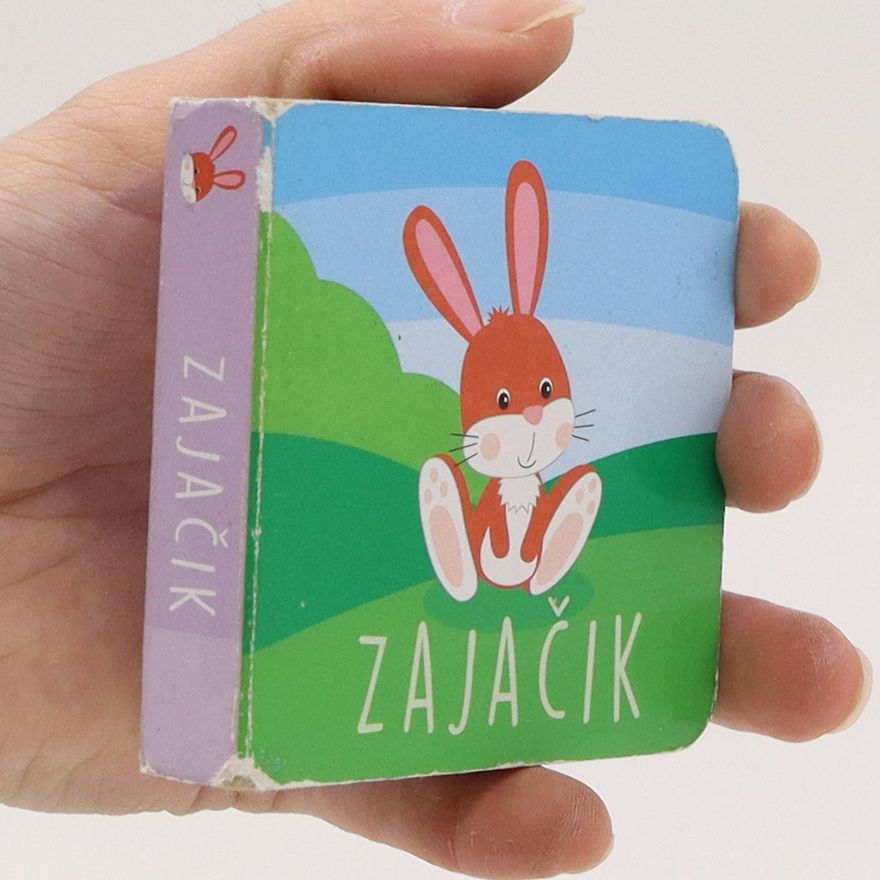 Kathy Broderick Zajačik