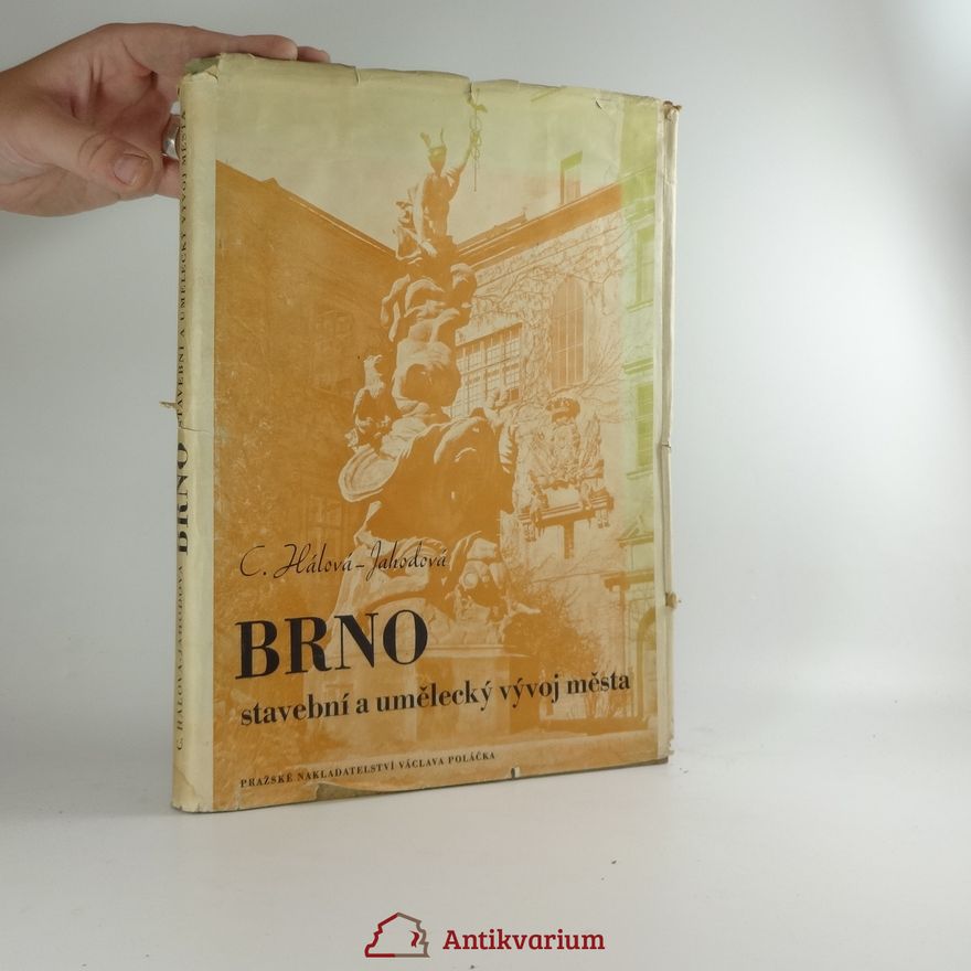 C. Hálová Brno, stavební a umělecký vývoj města