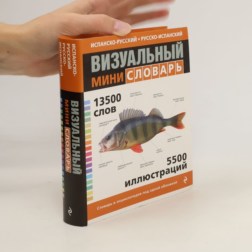 Autorenkollektiv ВИЗУАЛЬНЫЙ МИНИ СЛОВАРЬ