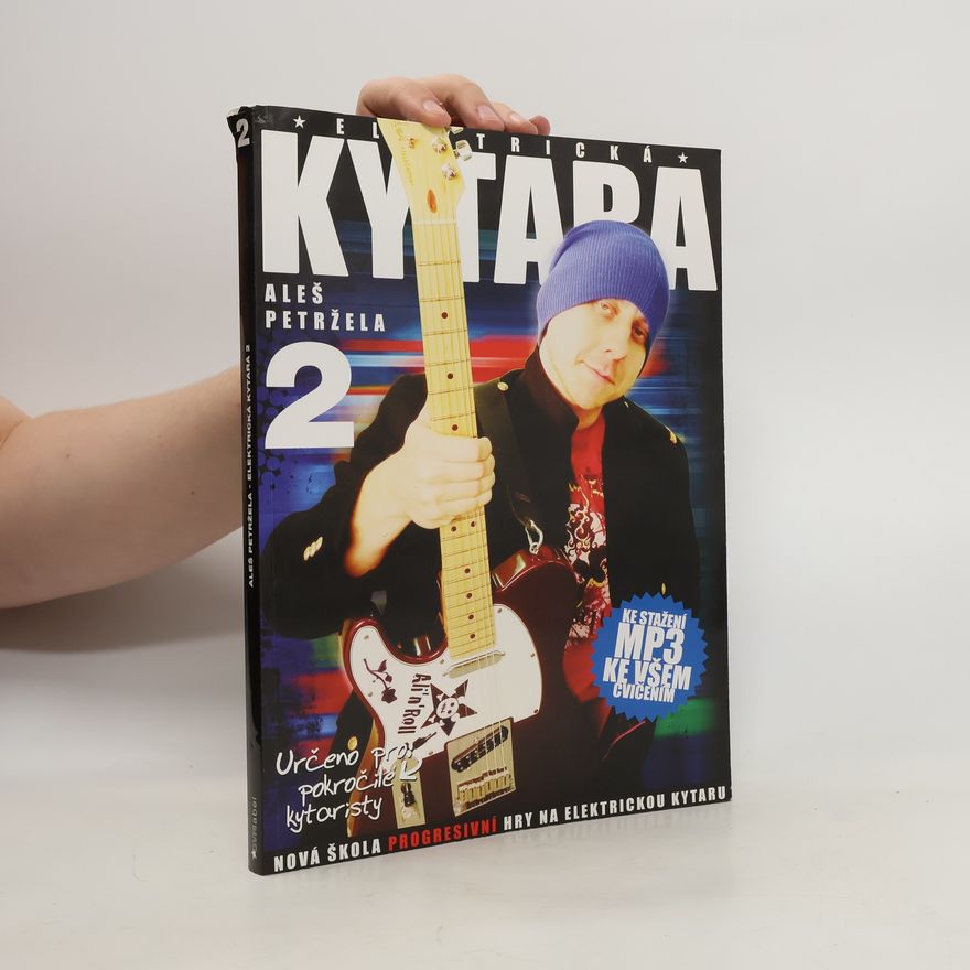 Aleš Petržela Elektrická kytara. 2